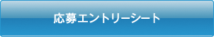 応募エントリーシート